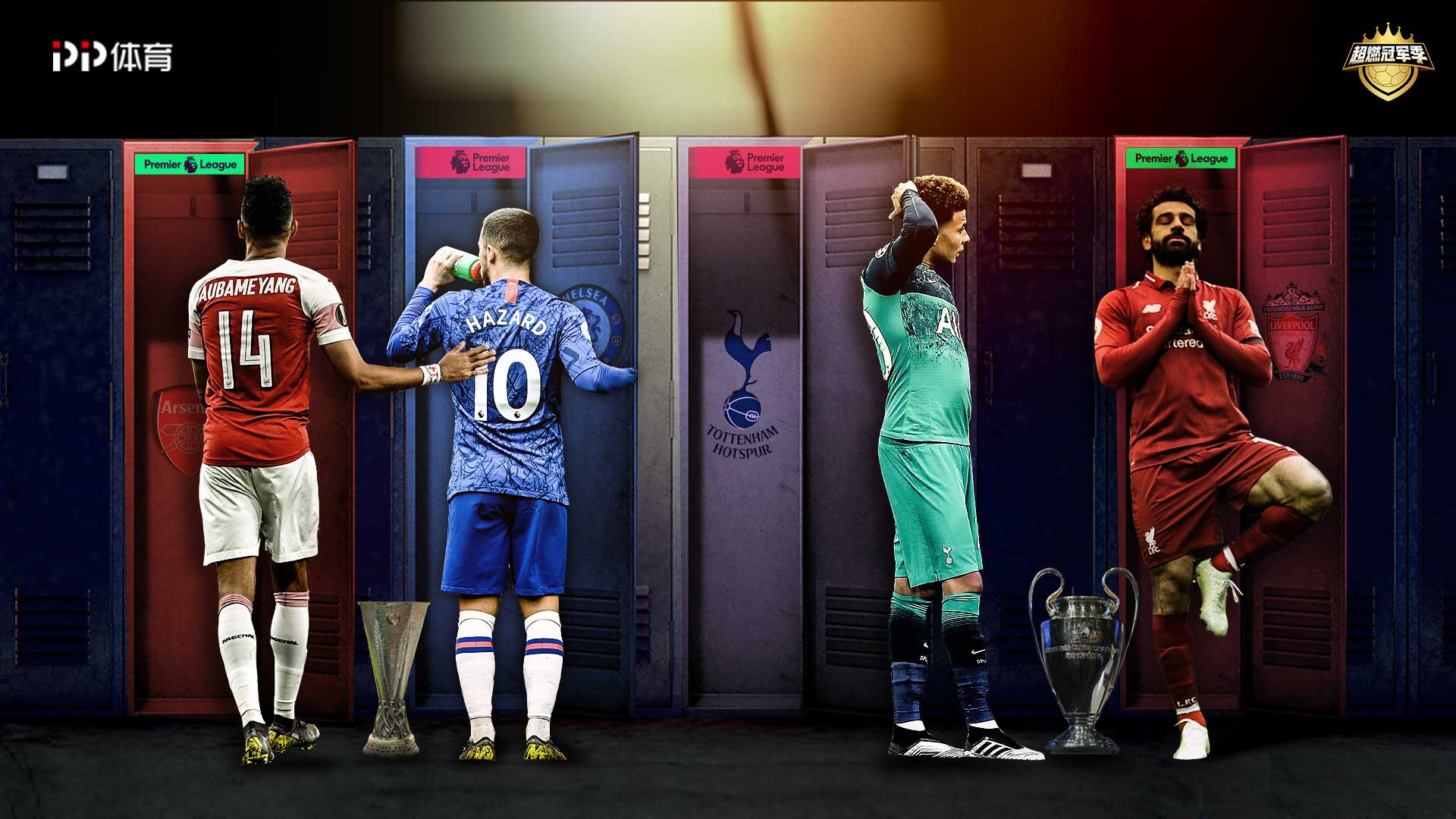 显了该领域 显了该领域